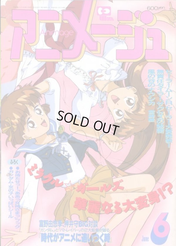 画像1: アニメージュ1993年6月号