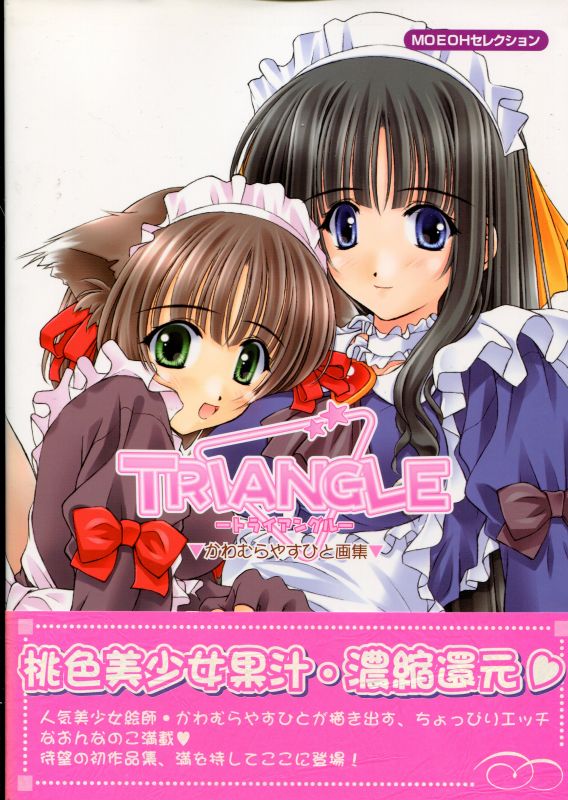 画像1: TRIANGLE トライアングル　かわむらやすひと画集