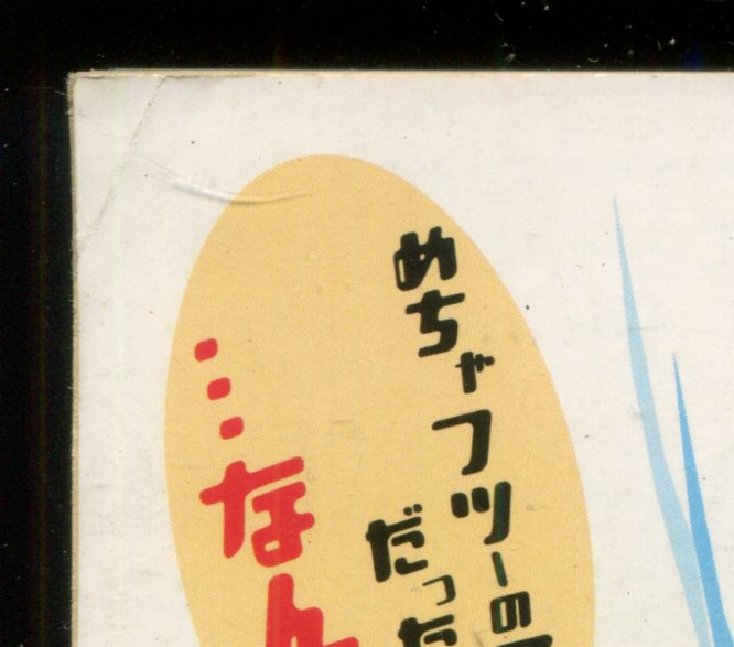 画像: 1998→1999　人気アニメキャラDATA FILE
