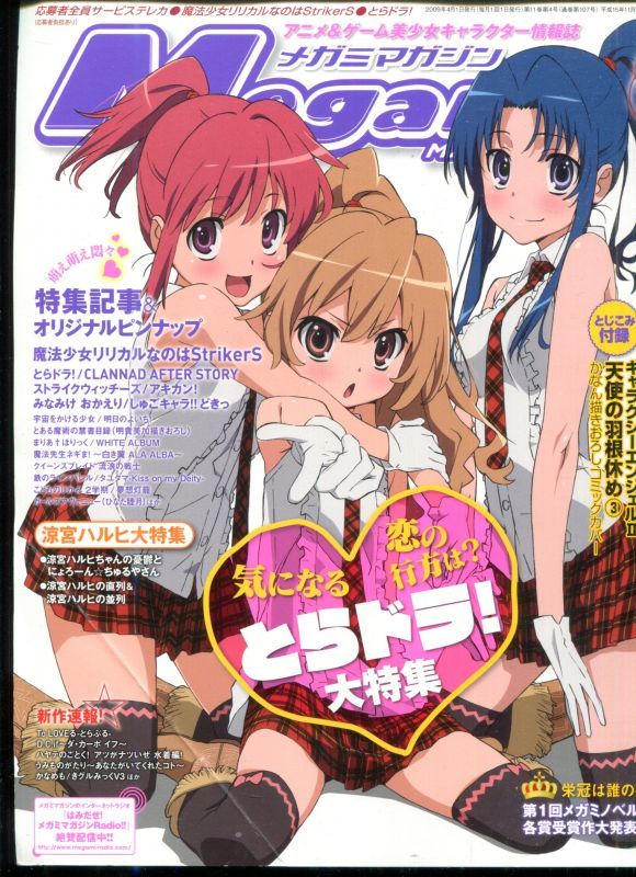 画像1: Megami MAGAZINE　メガミマガジン　2009年4月号（付録付き）　　Ｖｏｌ．107