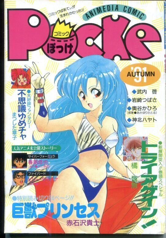 画像1: コミックぽっけ　’91年AUTUMN